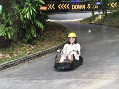 -圣淘沙天际线斜坡滑车