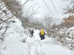 -抱龙峪