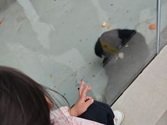 -太原动物园