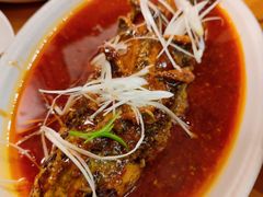 -曾牛肉