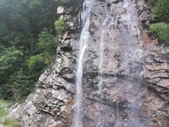 -龙道沟景区