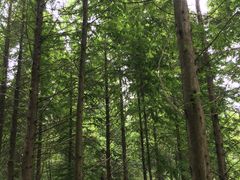 -小格里自然风景区