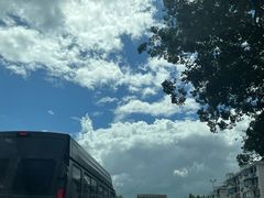 -秋霞圃