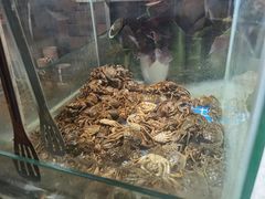 -鑫海汇海鲜烤肉自助(北国商城店)
