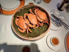 -鹿园 MOOSE(长宁店)