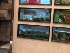 -白云国际会议中心·辣轩