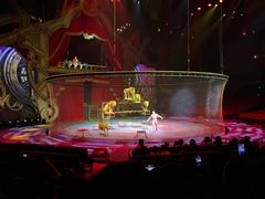 -珠海横琴长隆《卡卡虎奇遇记》