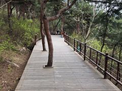 -丹东凤凰山景区