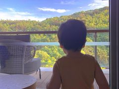 -上海佘山世茂艾美酒店