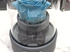 -ROSEONLY诺誓(广州K11店)