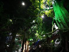 -福州罗源湾海洋世界旅游区