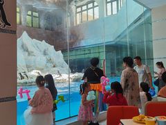-帝企鹅自助餐厅•儿童岛•真企鹅(长隆企鹅酒店)