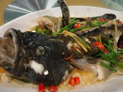 -四姑娘川味海鲜(八爪鱼店)