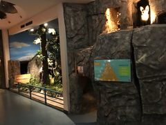 -陕西自然博物馆