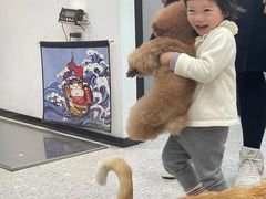 -四月宠物医院·猫专科·心脏专科·内科(转塘店)
