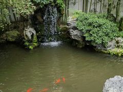 -上海醉白池公园