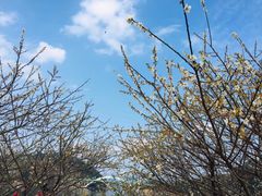 -广州市流溪河国家森林公园
