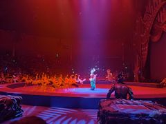 -珠海横琴长隆《卡卡虎奇遇记》