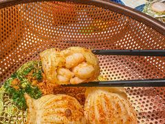 -点都德·毕德寮