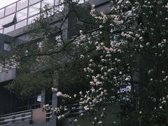 -南山植物园