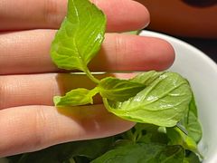 -食欲老院子荆芥疙瘩汤(经五路店)