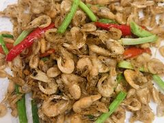 -杨记新泉美食