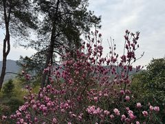 -饶福记·南昌烧烤大排档(九龙湖土著店)