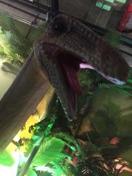 -恐龙探索乐园(磁器口店)