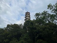 -江心屿景区