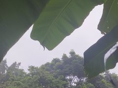 -重庆彩云湖湿地公园
