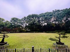 -申粤轩酒楼·三十年粤菜经典(丁香花园店)