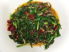 脆香毛肚-勇猛子川菜馆(新军路店)
