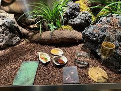 -曲廊院(东四十一条店)