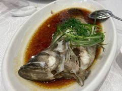 清蒸石斑鱼-金翠皇宫粤菜·点心·海鲜(科技园店)