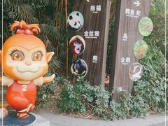 -成都动物园