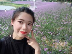 -大塘金香草谷