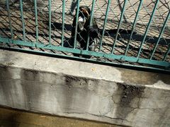 -秦皇岛野生动物园