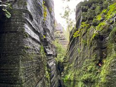 -梭布垭石林景区