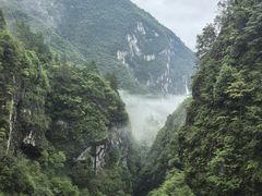 -鹿院坪生态旅游景区