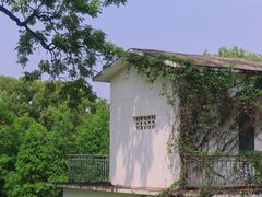 -广西壮族自治区药用植物园