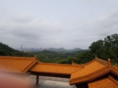 -深圳仙湖植物园