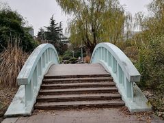 -新虹桥中心花园