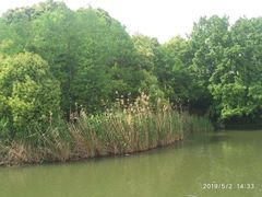 -新江湾城公园