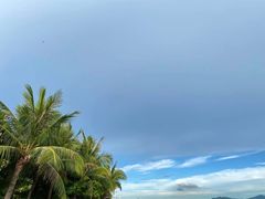 -深圳湾公园(南山区)