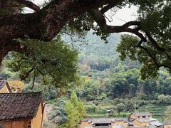-杨家堂村