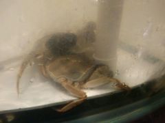 -星伦多自助料理(华润万象城店)