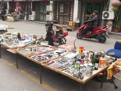 -中环花鸟鱼虫市场