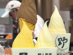 -野人先生现做冰淇淋(贵阳万象汇店)