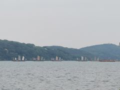 -上海市保健医疗中心