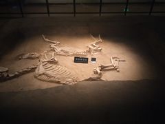 -洛阳周王城天子驾六博物馆